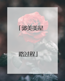 郭美美星路过程