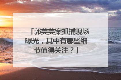 郭美美案抓捕现场曝光，其中有哪些细节值得关注？