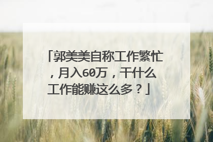 郭美美自称工作繁忙,月入60万,干什么工作能赚这么多?