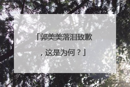 郭美美落泪致歉，这是为何？