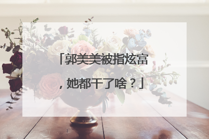 郭美美被指炫富，她都干了啥？