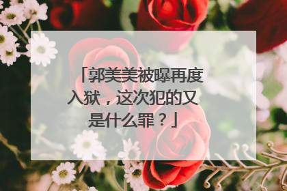 郭美美被曝再度入狱,这次犯的又是什么罪?