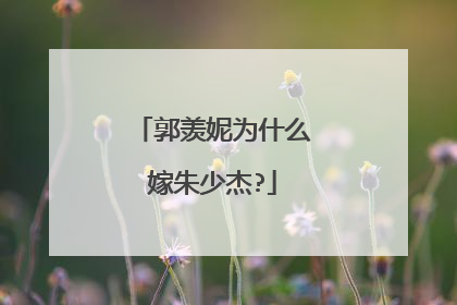 郭羡妮为什么嫁朱少杰?