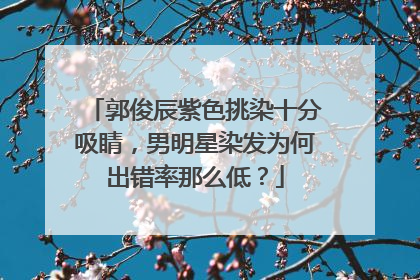 郭俊辰紫色挑染十分吸睛，男明星染发为何出错率那么低？