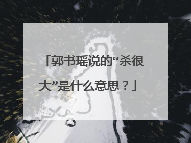 郭书瑶说的“杀很大”是什么意思？