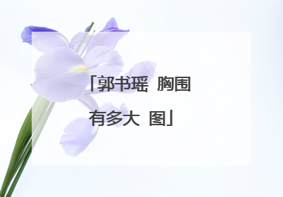 郭书瑶 胸围有多大 图