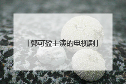 郭可盈主演的电视剧