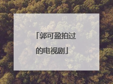 郭可盈拍过的电视剧