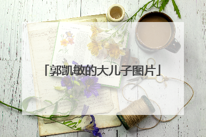 郭凯敏的大儿子图片