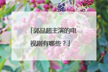 郭品超主演的电视剧有哪些？