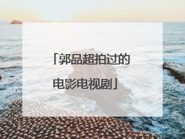 郭品超拍过的电影电视剧