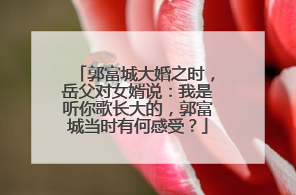 郭富城大婚之时，岳父对女婿说：我是听你歌长大的，郭富城当时有何感受？