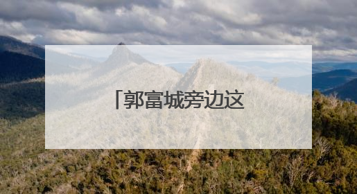 郭富城旁边这个女的是谁