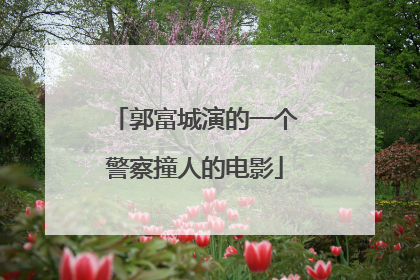 郭富城演的一个警察撞人的电影