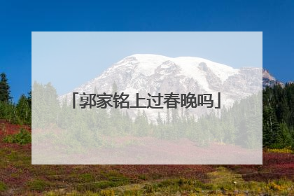 郭家铭上过春晚吗