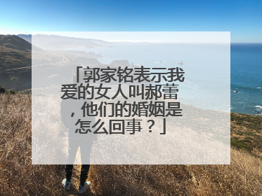 郭家铭表示我爱的女人叫郝蕾，他们的婚姻是怎么回事？