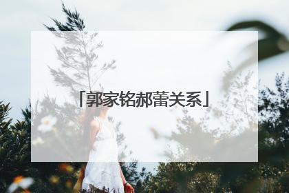 郭家铭郝蕾关系