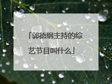 郭德纲主持的综艺节目叫什么