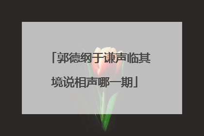 郭德纲于谦声临其境说相声哪一期