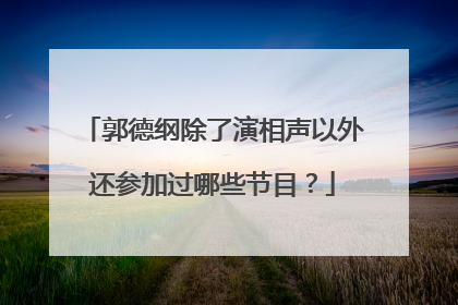 郭德纲除了演相声以外还参加过哪些节目？