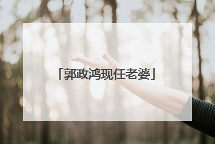 郭政鸿现任老婆