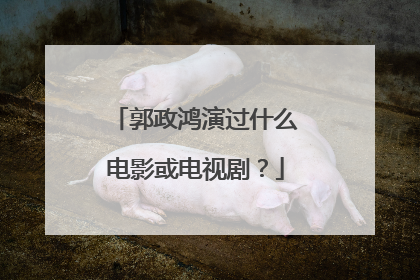 郭政鸿演过什么电影或电视剧？