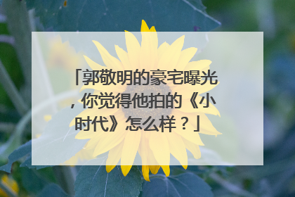 郭敬明的豪宅曝光,你觉得他拍的《小时代》怎么样?
