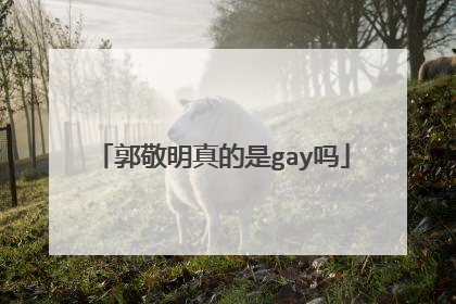 郭敬明真的是gay吗