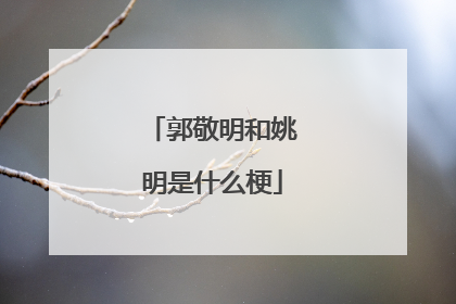 郭敬明和姚明是什么梗