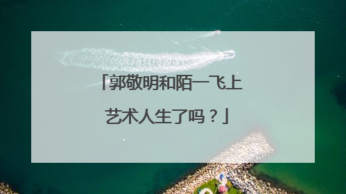 郭敬明和陌一飞上 艺术人生了吗？