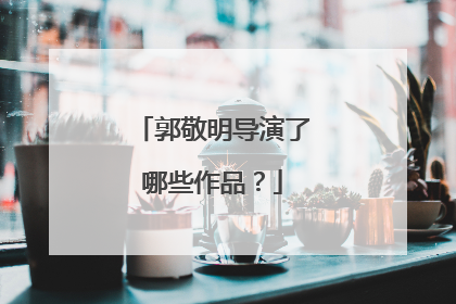 郭敬明导演了哪些作品？