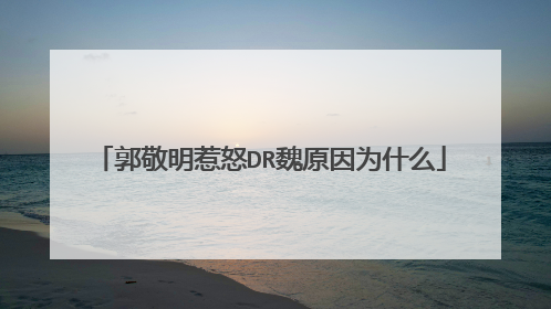 郭敬明惹怒DR魏原因为什么