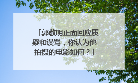 郭敬明正面回应质疑和谩骂,你认为他拍摄的电影如何?