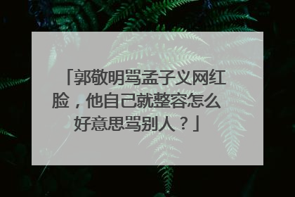 郭敬明骂孟子义网红脸，他自己就整容怎么好意思骂别人？