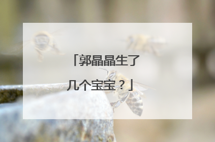 郭晶晶生了几个宝宝？