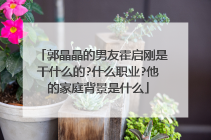 郭晶晶的男友霍启刚是干什么的?什么职业?他的家庭背景是什么