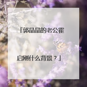 郭晶晶的老公霍启刚什么背景？