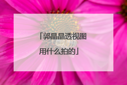 郭晶晶透视图用什么拍的