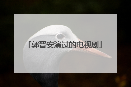 郭晋安演过的电视剧