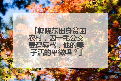 郭晓东出身贫困农村,因一毛公交费遭辱骂,他的妻子活的卑微吗?