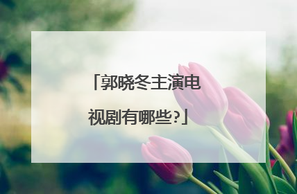 郭晓冬主演电视剧有哪些?