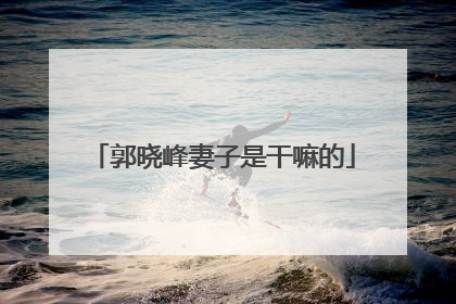 郭晓峰妻子是干嘛的