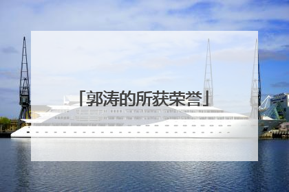 郭涛的所获荣誉