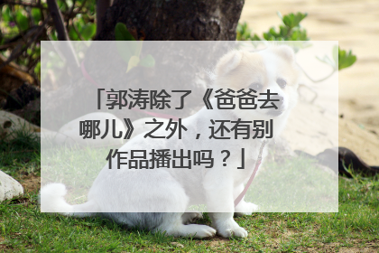 郭涛除了《爸爸去哪儿》之外,还有别作品播出吗?