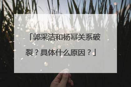 郭采洁和杨幂关系破裂?具体什么原因?