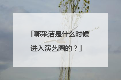 郭采洁是什么时候进入演艺圈的?