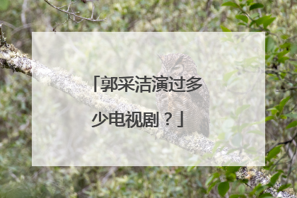 郭采洁演过多少电视剧？