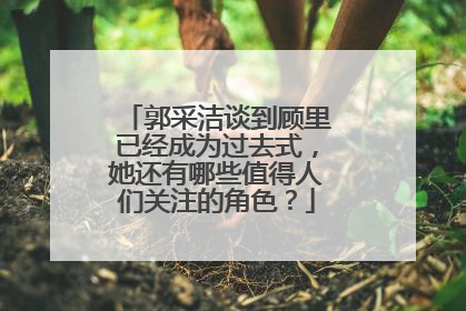 郭采洁谈到顾里已经成为过去式，她还有哪些值得人们关注的角色？