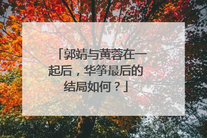 郭靖与黄蓉在一起后，华筝最后的结局如何？