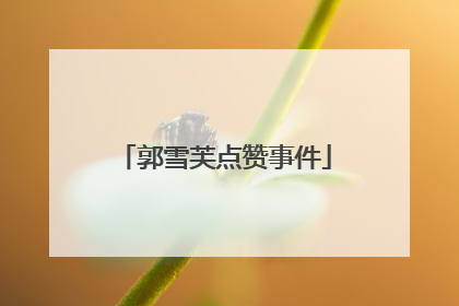 郭雪芙点赞事件